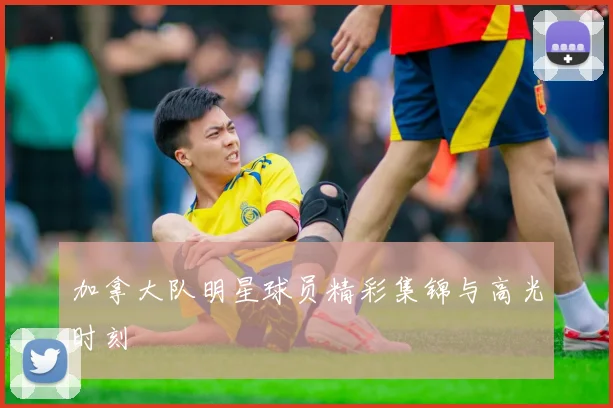 加拿大队明星球员精彩集锦与高光时刻