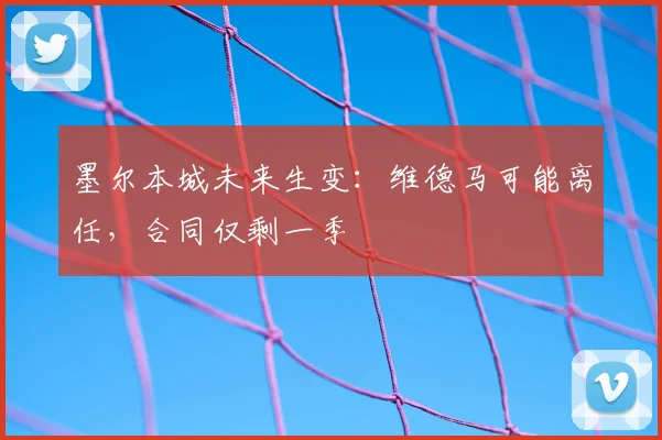 墨尔本城未来生变:维德马可能离任,合同仅剩一季