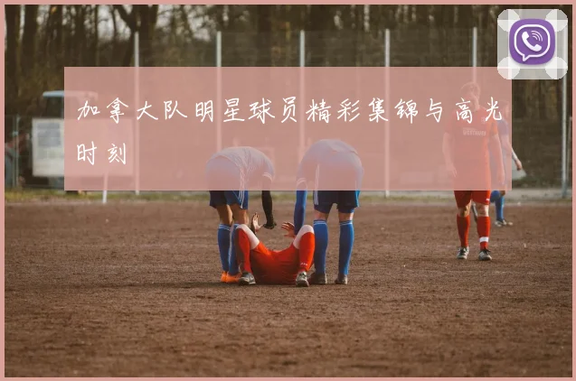 加拿大队明星球员精彩集锦与高光时刻