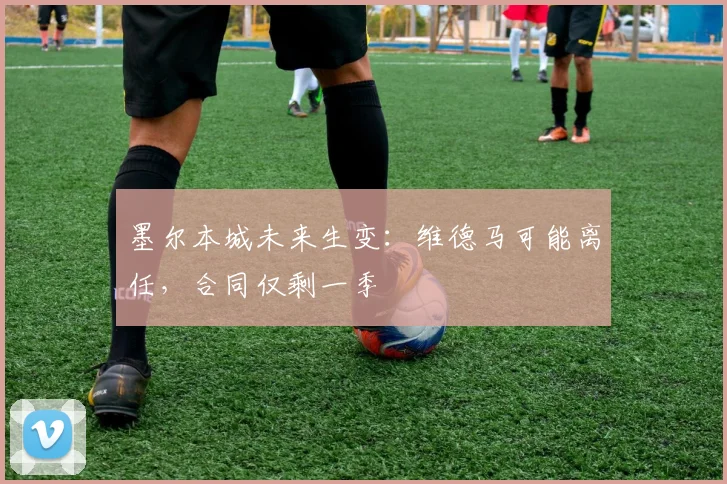 墨尔本城未来生变:维德马可能离任,合同仅剩一季